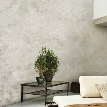 Concrete or Cement Walls with Texture