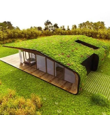 Green-Roofed