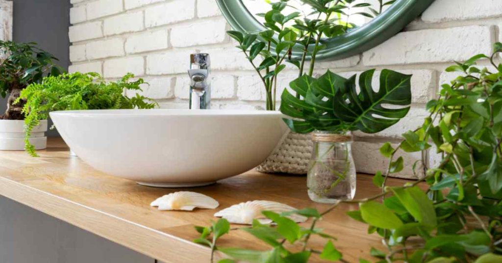 Keep Plants in The Bathroom