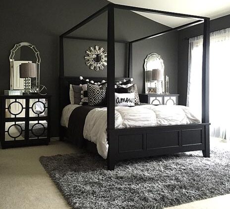 Dark Themed Room with Black Canopy Bed